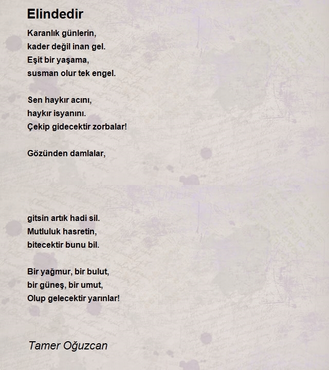 Tamer Oğuzcan