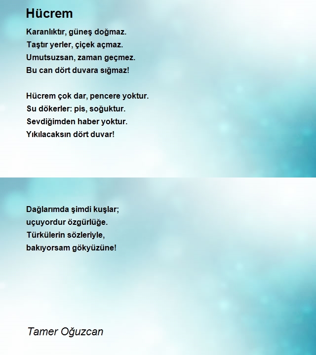 Tamer Oğuzcan