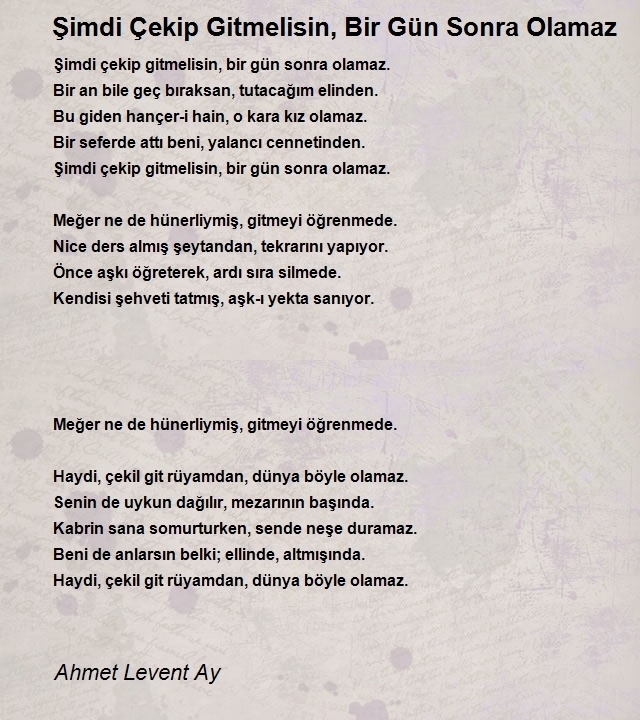 Ahmet Levent Ay