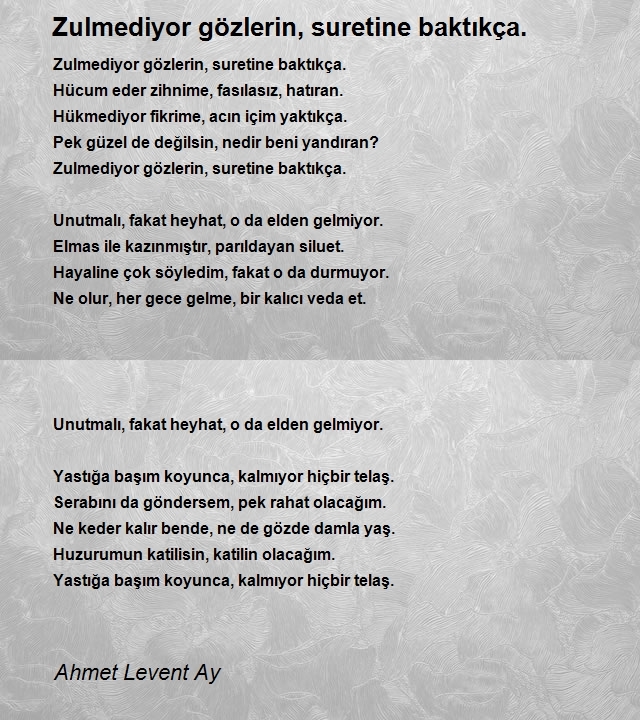 Ahmet Levent Ay