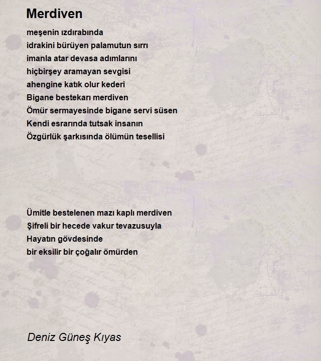 Deniz Güneş Kıyas