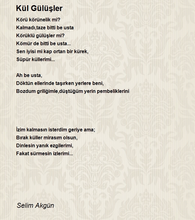 Selim Akgün