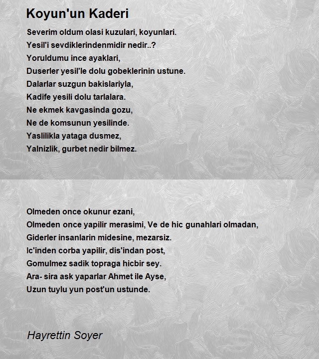 Hayrettin Soyer