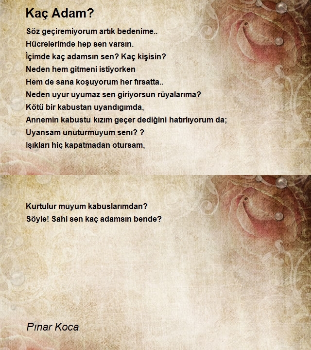 Pınar Koca