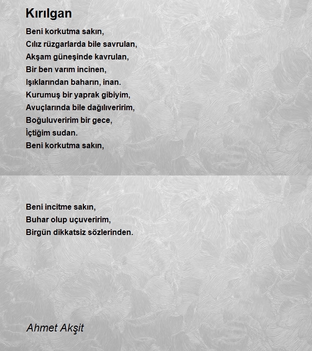 Ahmet Akşit