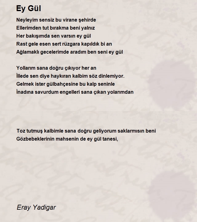 Eray Yadigar