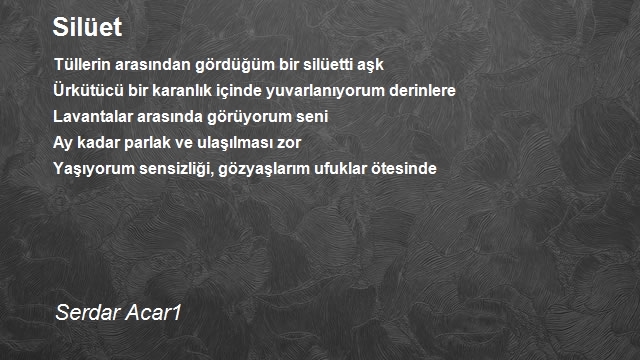 Serdar Acar1