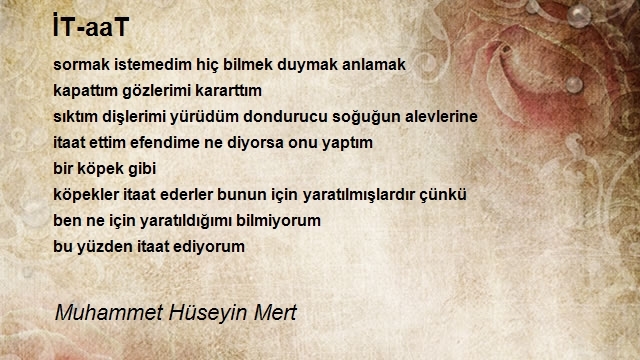 Muhammet Hüseyin Mert