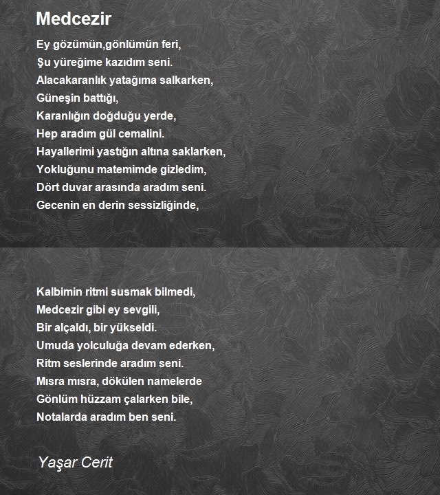 Yaşar Cerit