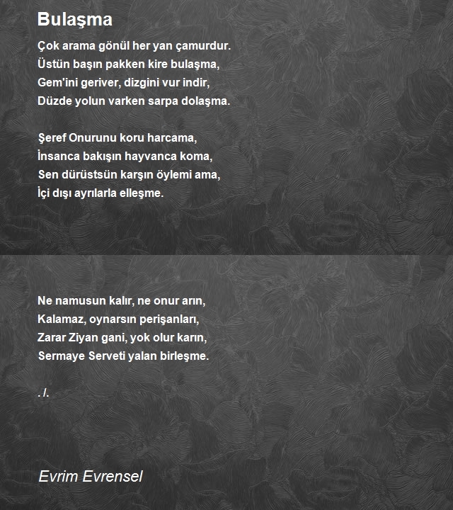 Evrim Evrensel