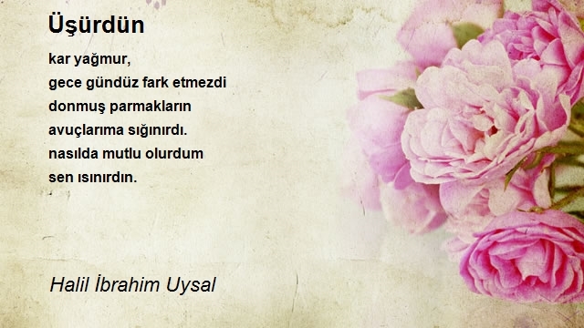 Halil İbrahim Uysal