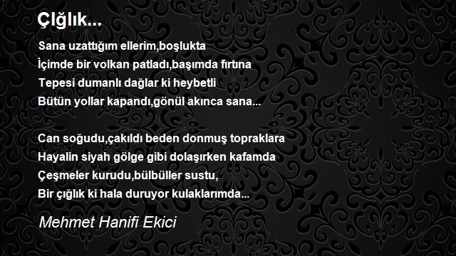 Mehmet Hanifi Ekici