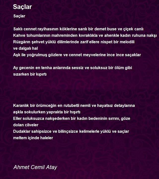 Ahmet Cemil Atay