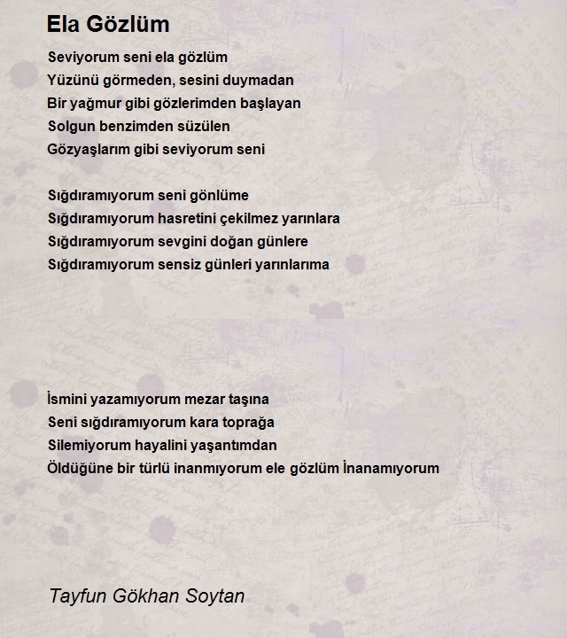 Tayfun Gökhan Soytan