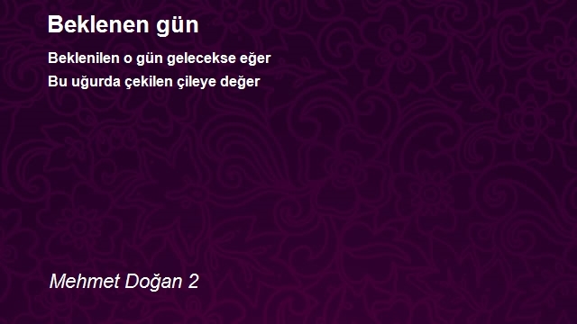 Mehmet Doğan 2