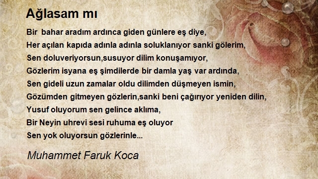 Muhammet Faruk Koca