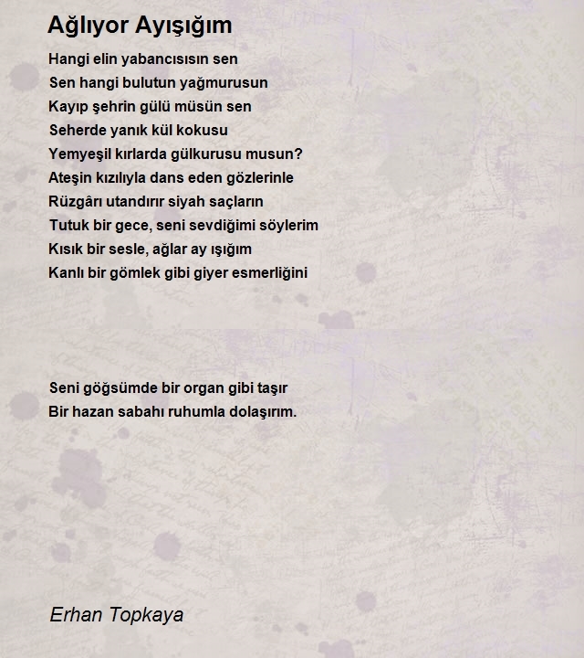 Erhan Topkaya