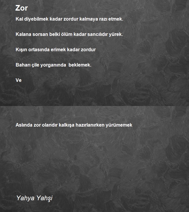 Yahya Yahşi