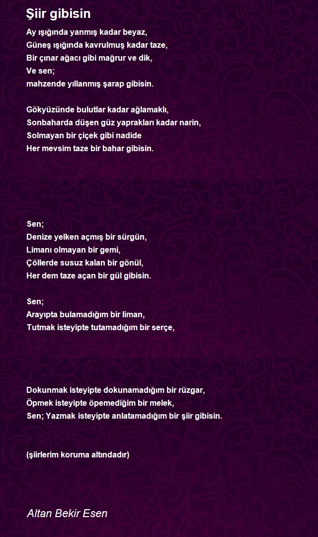 Altan Bekir Esen