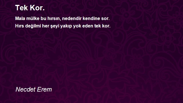 Necdet Erem