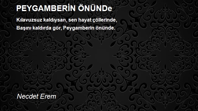 Necdet Erem