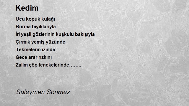 Süleyman Sönmez