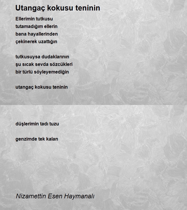 Nizamettin Esen Haymanalı