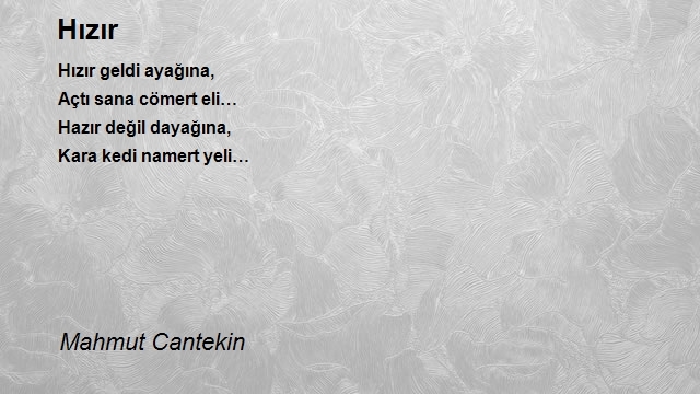 Mahmut Cantekin