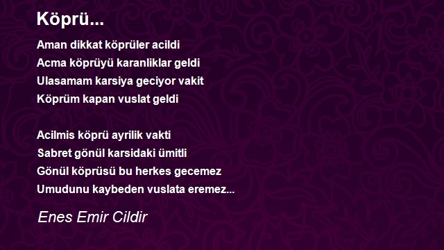 Enes Emir Cildir