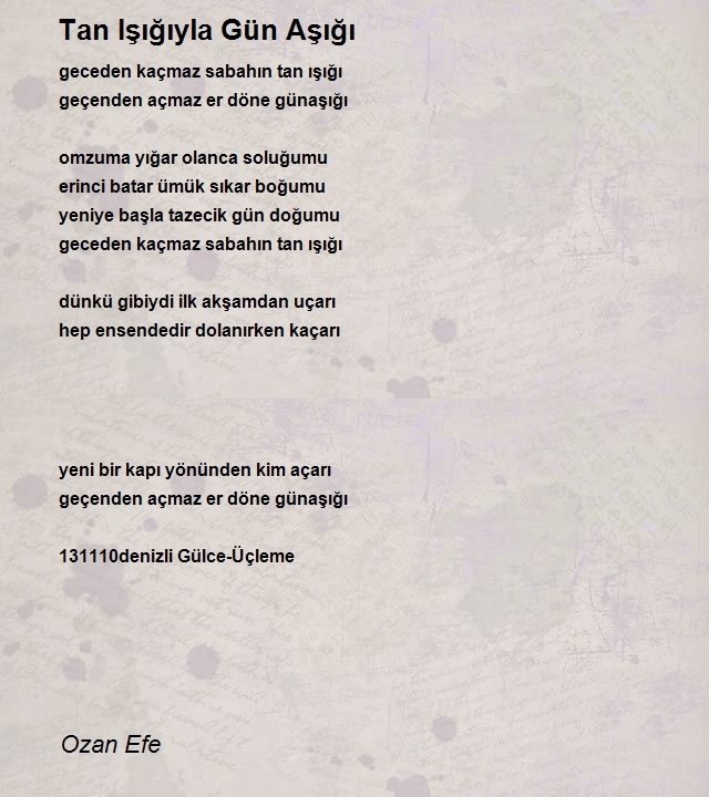 Ozan Efe