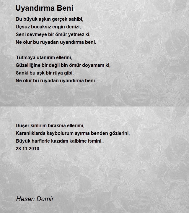 Hasan Demir