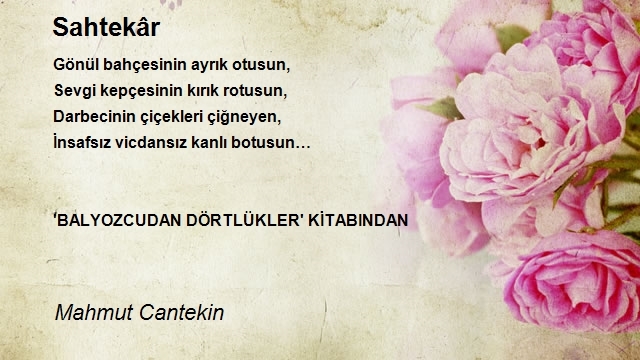 Mahmut Cantekin