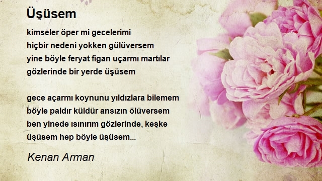 Kenan Arman