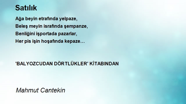 Mahmut Cantekin