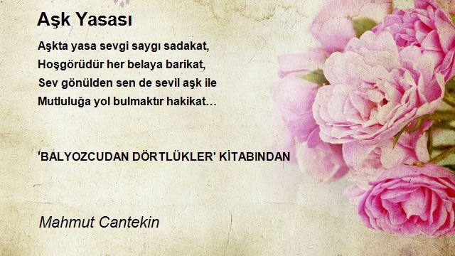 Mahmut Cantekin