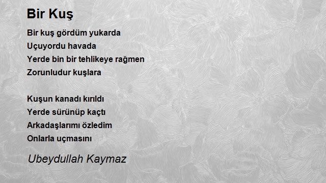 Ubeydullah Kaymaz