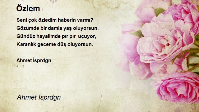 Ahmet İsprdgn