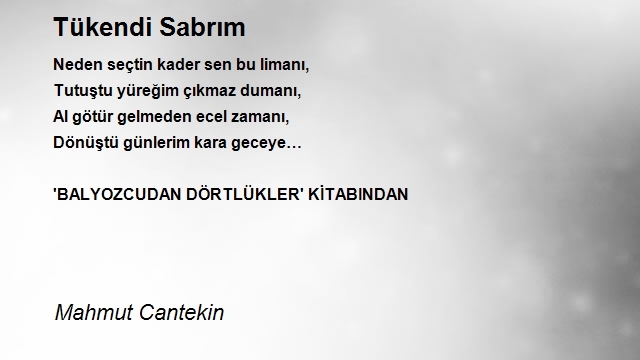 Mahmut Cantekin