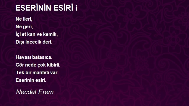 Necdet Erem