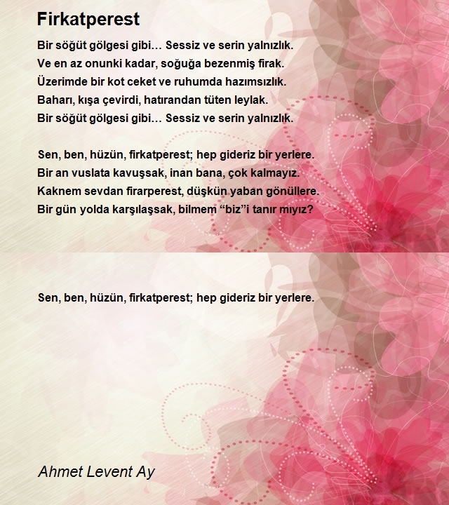 Ahmet Levent Ay