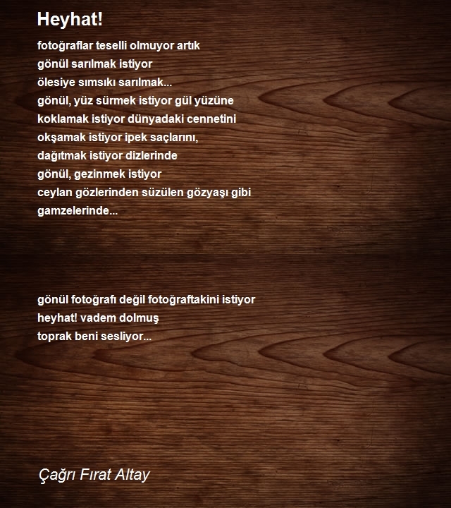 Çağrı Fırat Altay