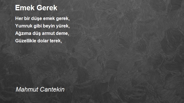 Mahmut Cantekin