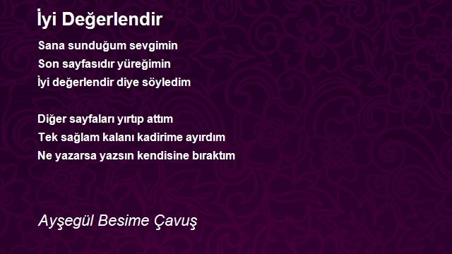 Ayşegül Besime Çavuş