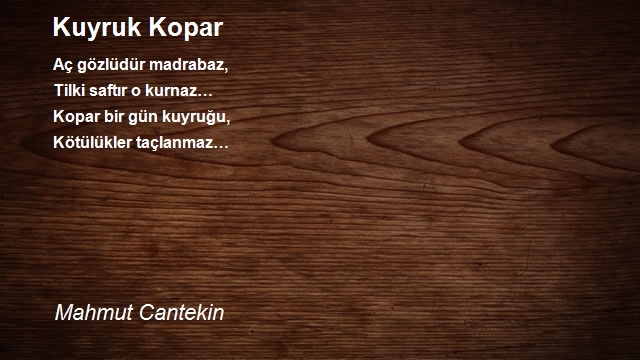 Mahmut Cantekin