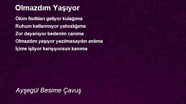 Ayşegül Besime Çavuş