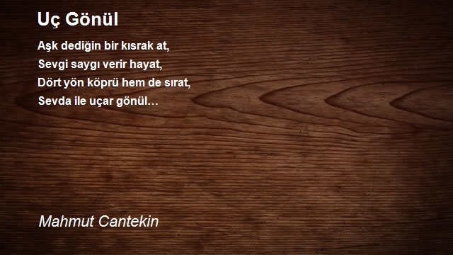 Mahmut Cantekin