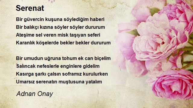 Adnan Onay