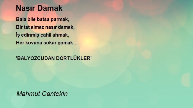 Mahmut Cantekin