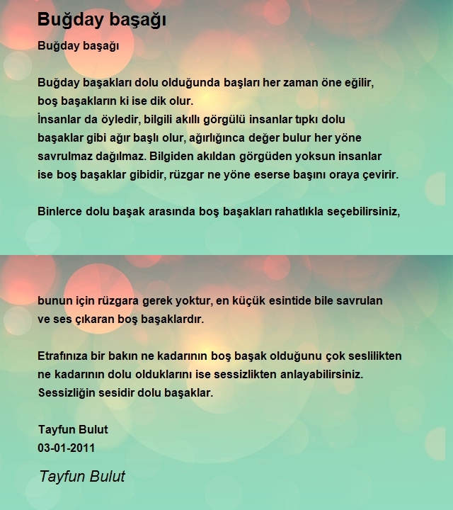 Tayfun Bulut