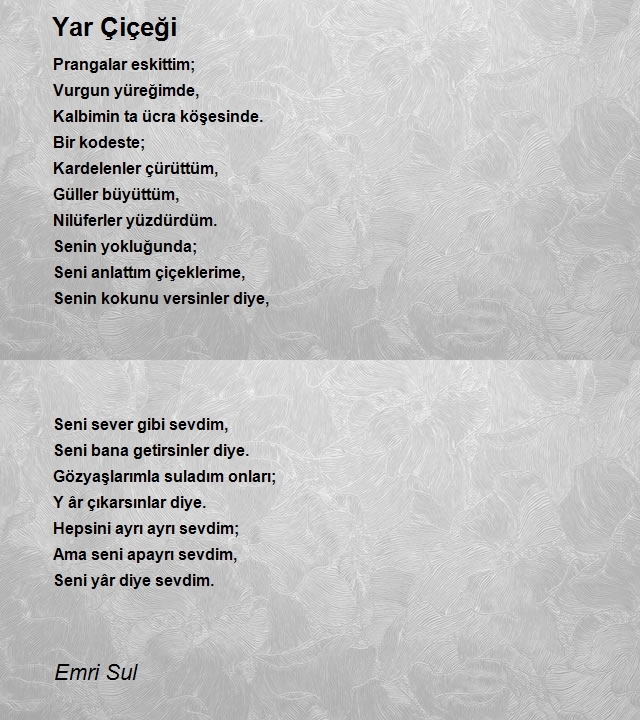 Emri Sul